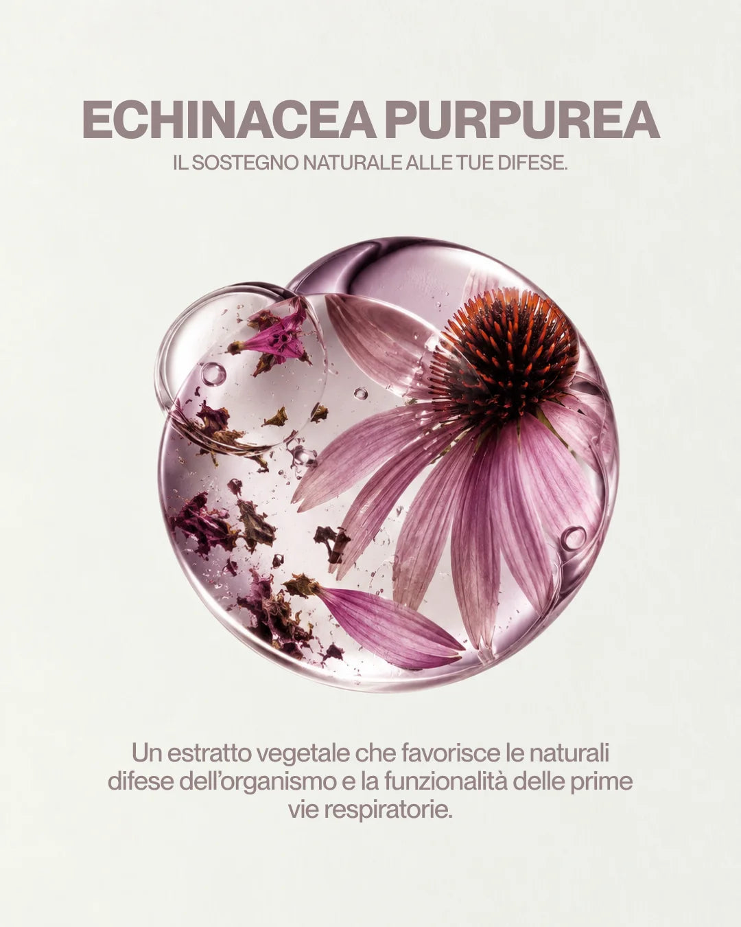 Immuny Vital Defence – Difese immunitarie e cambi di stagione