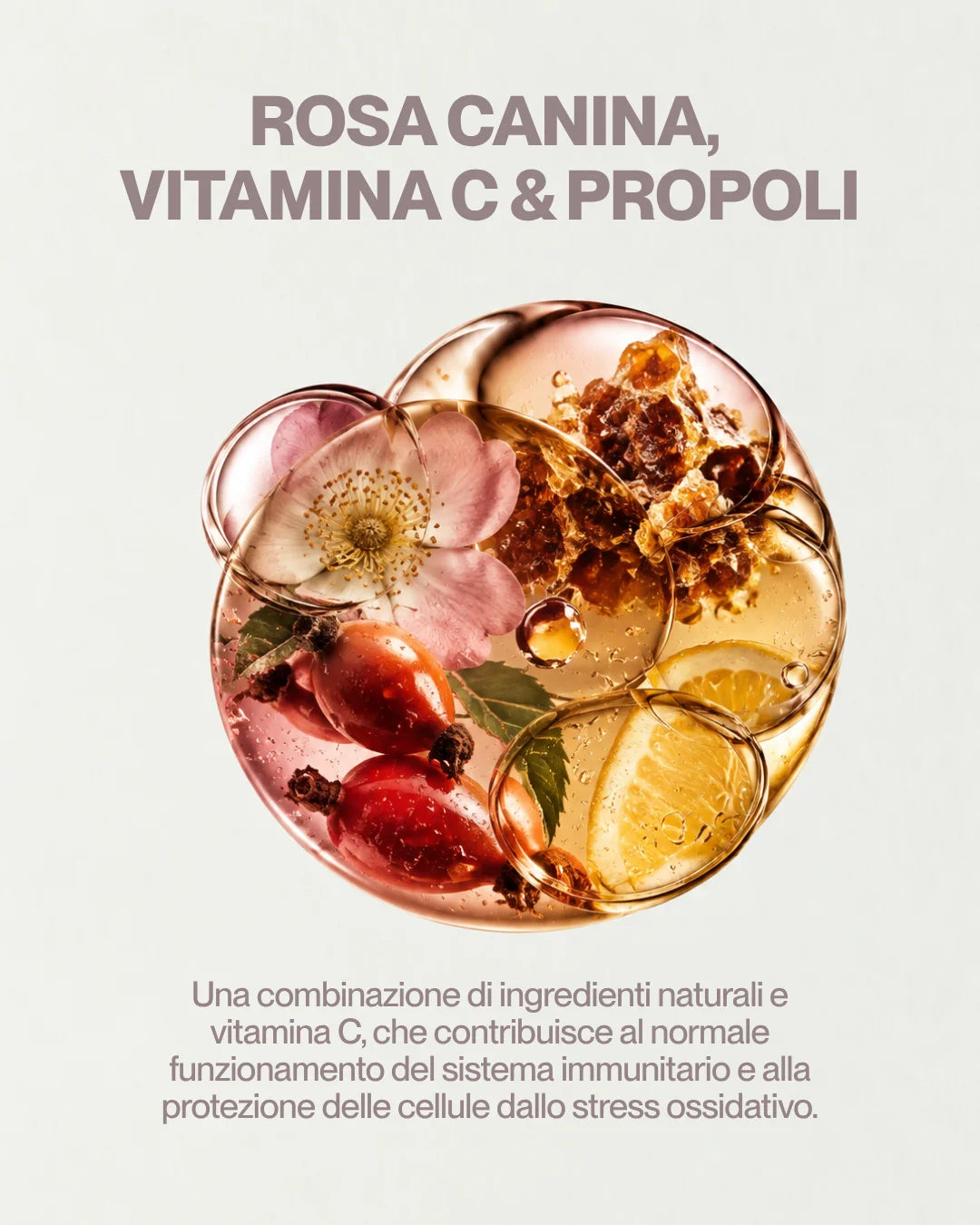 Immuny Vital Defence – Difese immunitarie e cambi di stagione