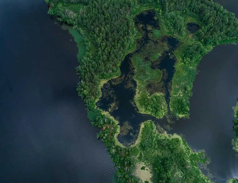 Made in Italy e sostenibile